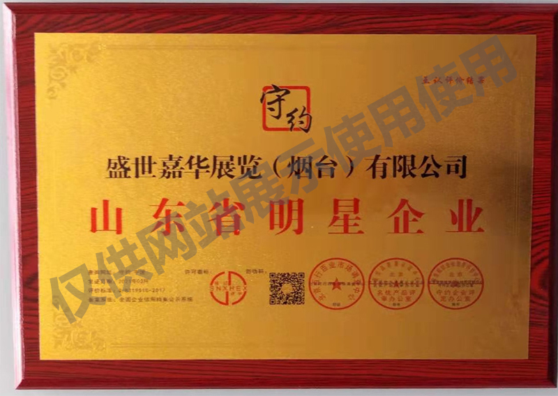 山东省明星企业
