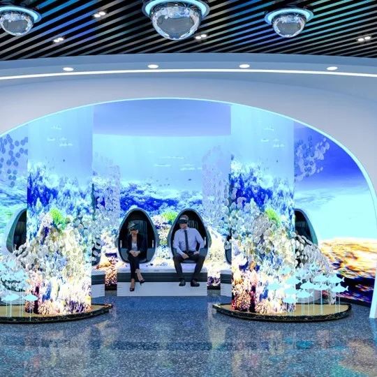 1661478537842873.jpg 5.jpg