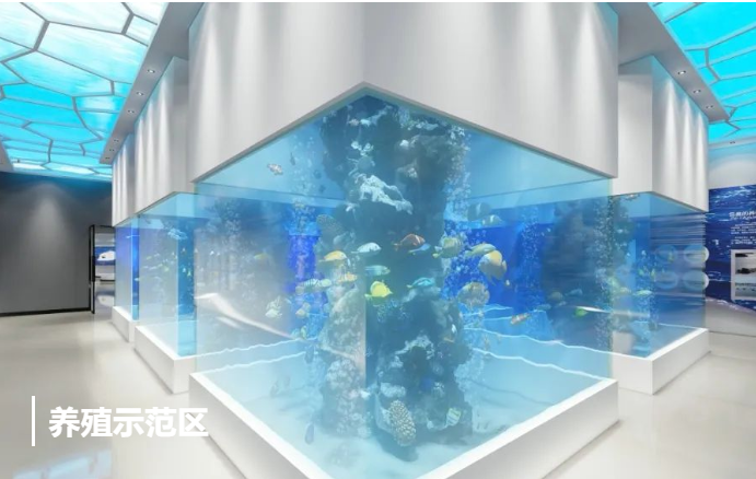 烟台展示公司 烟台展示公司