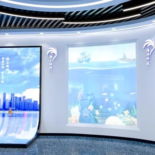 1661478544568764.jpg 6.jpg